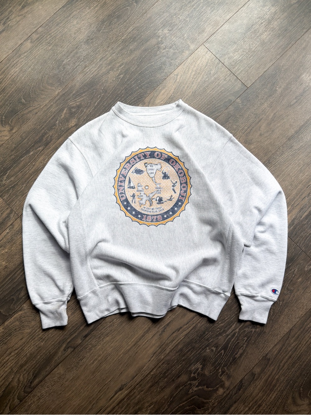 Champion Reverse Weave University of Okoboji Mens Medium Sweatshirt Iowa Vintage